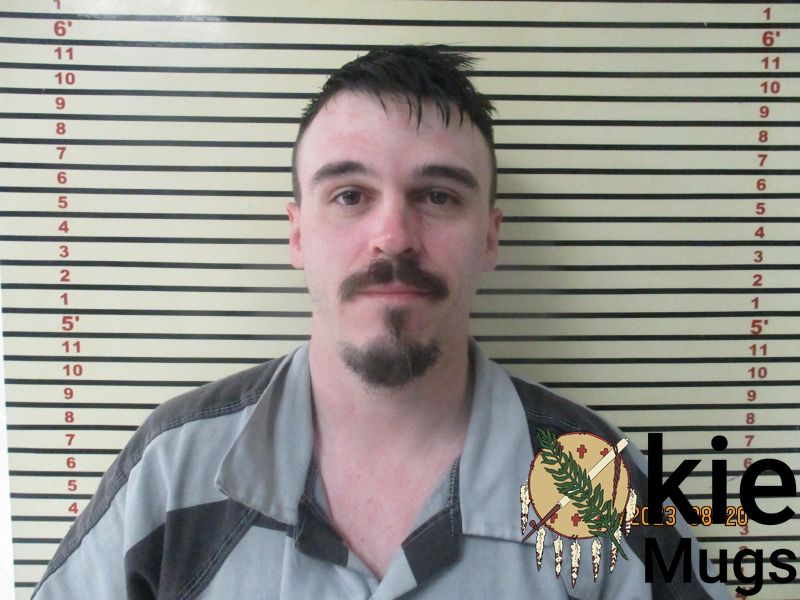 Booking photo of MICHAEL VANN
