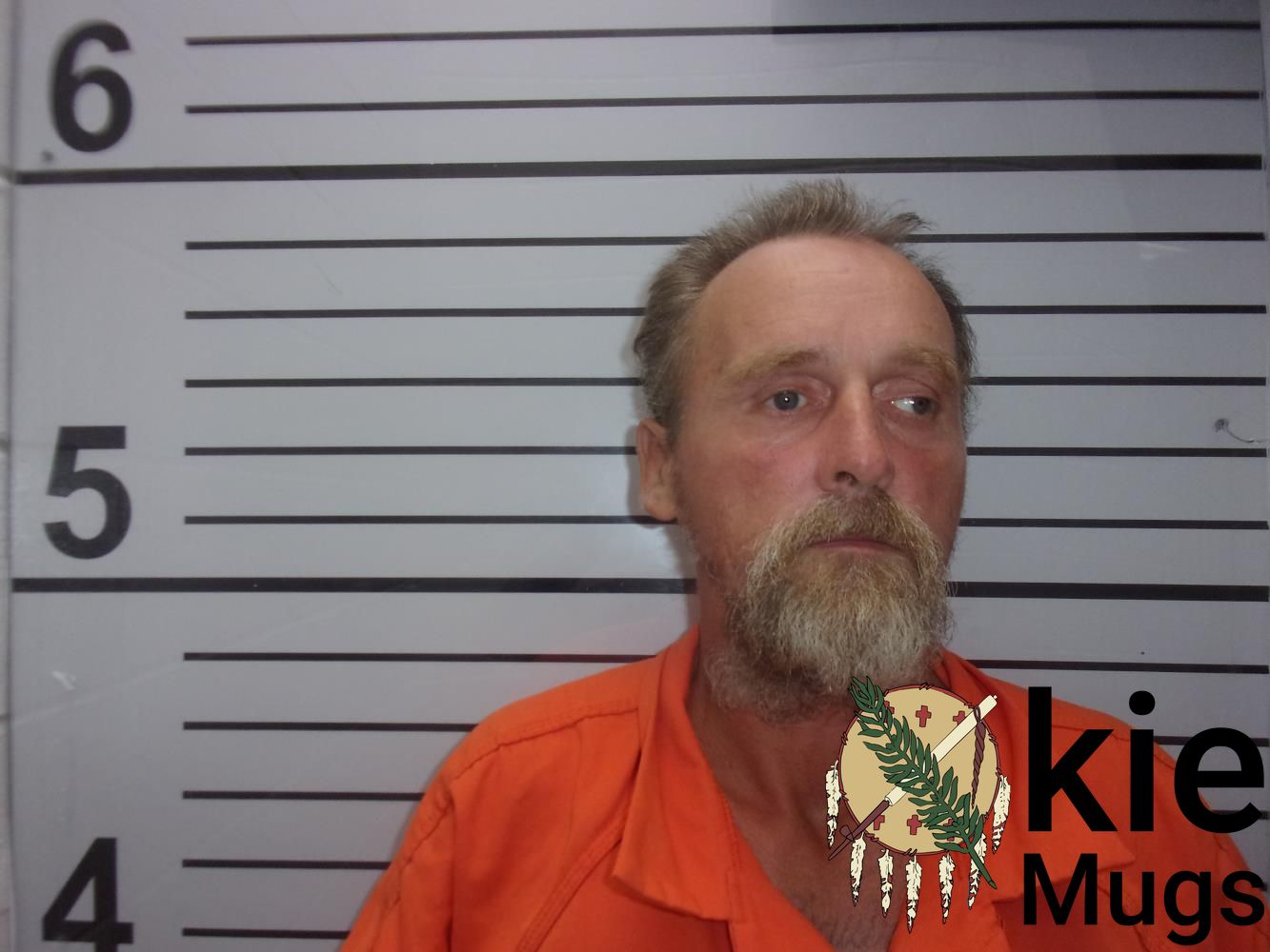 Booking photo of JESSIE LEE THOMAS