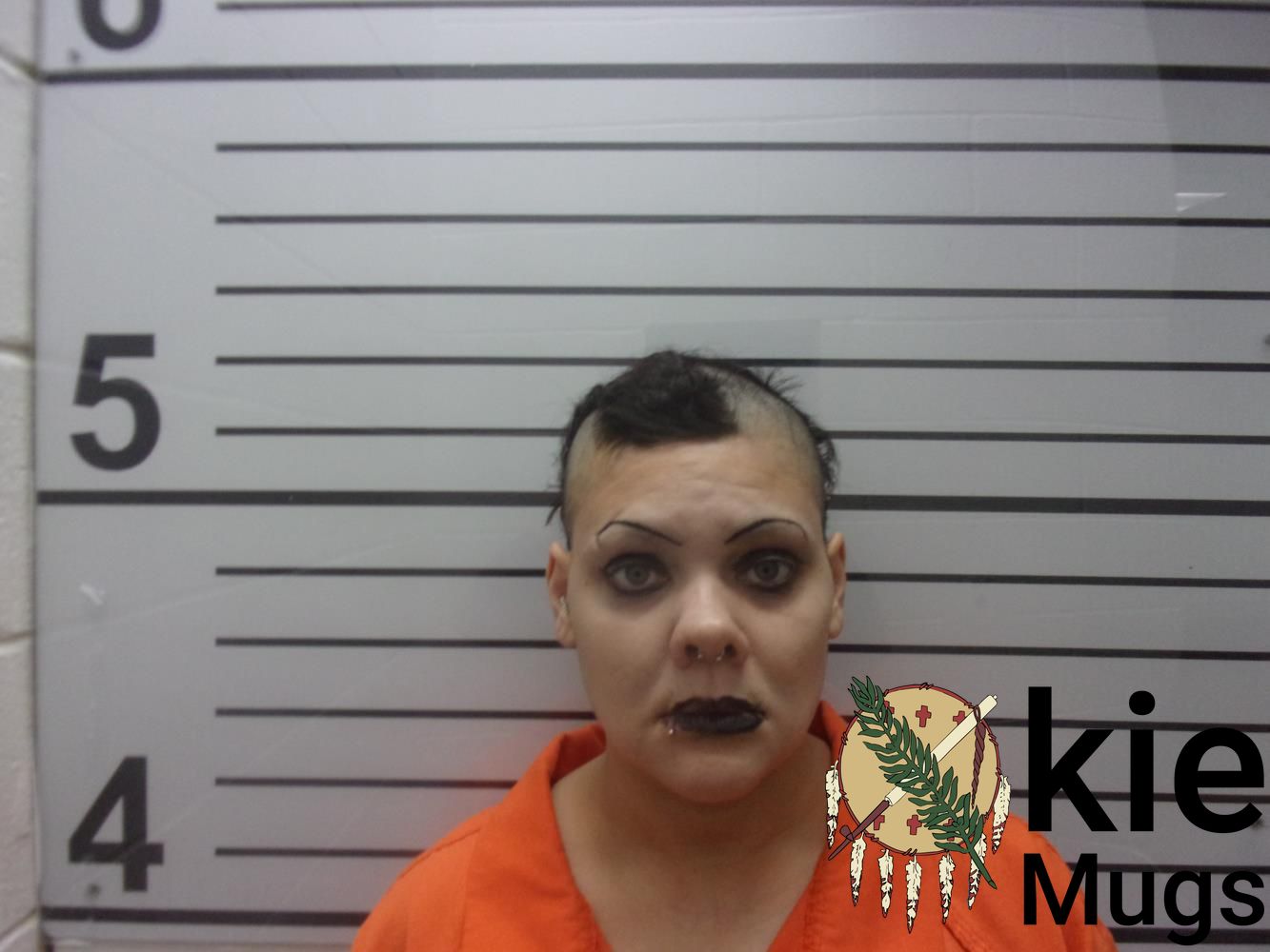 Booking photo of MEIGHAN LEIGH LINN