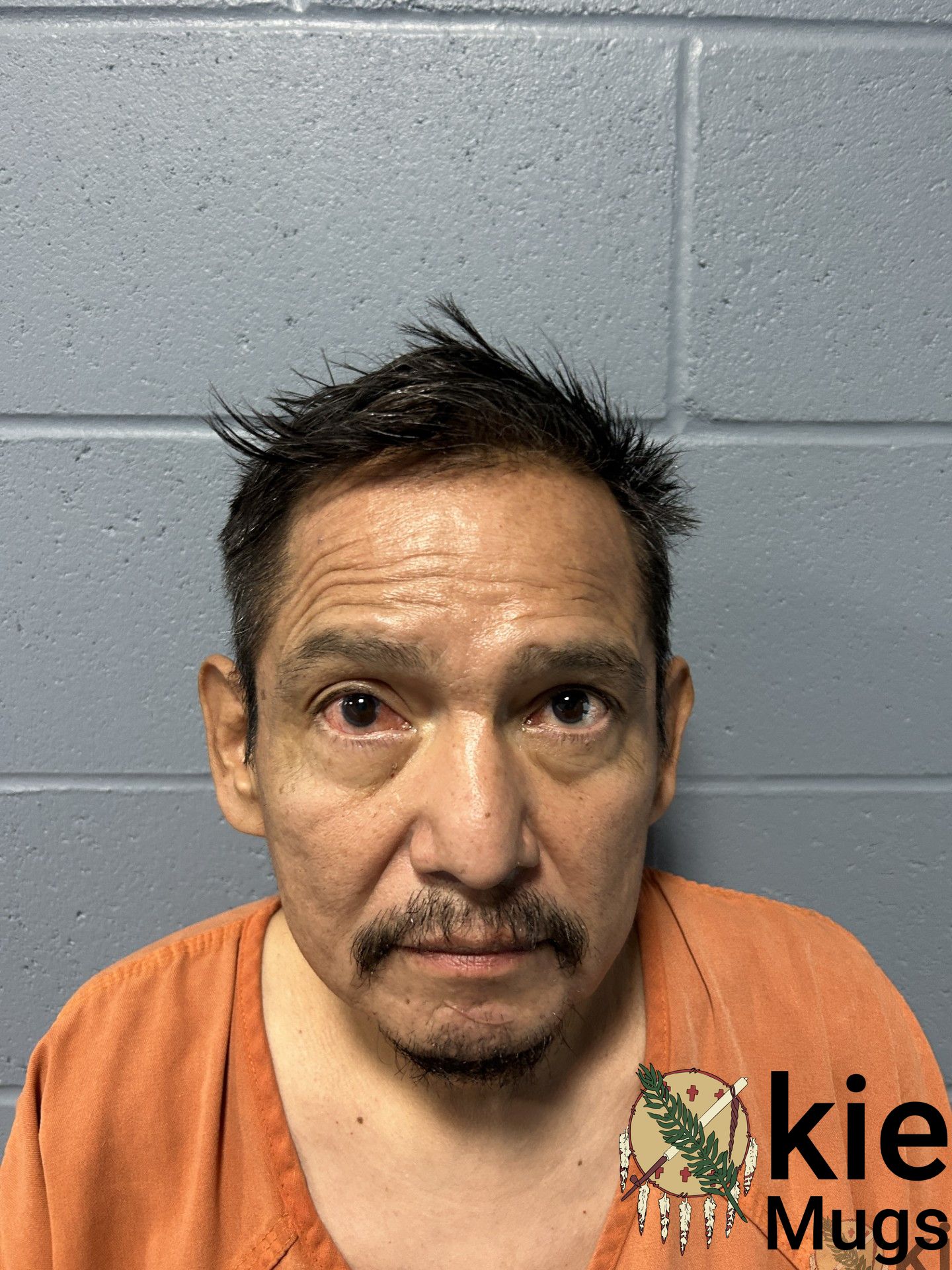 Booking photo of DAVID WHITE
