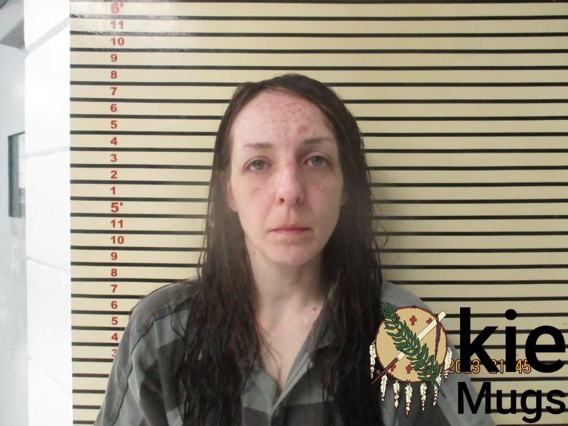 Booking photo of LINDSAY SHERRILL