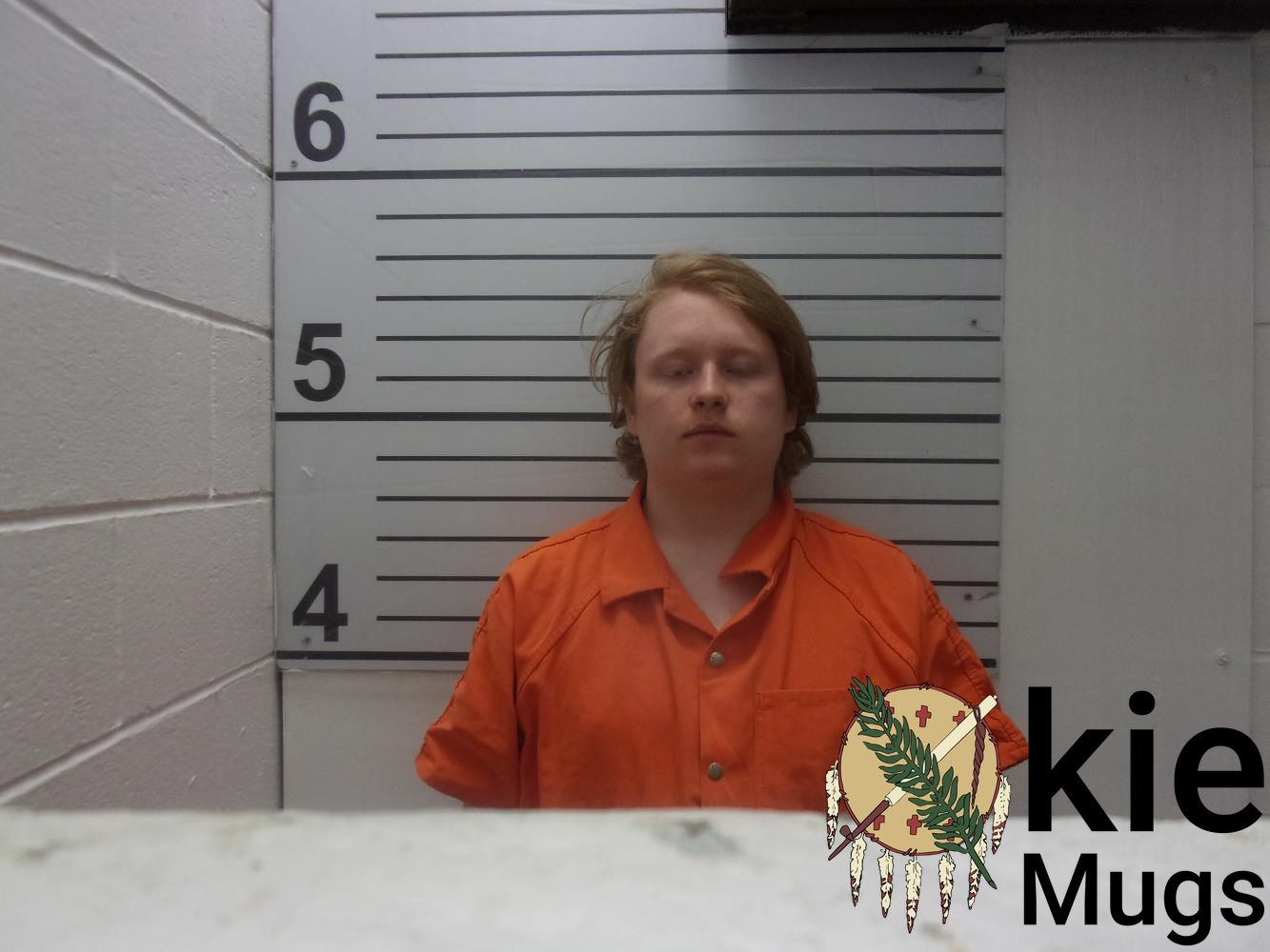 Booking photo of MATIC SIEDLIK