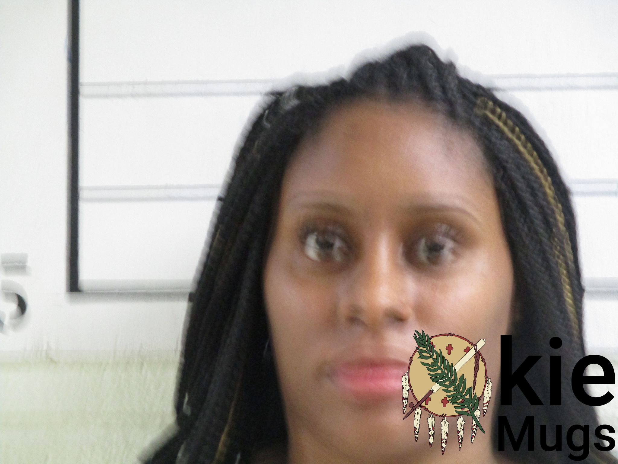 Booking photo of MORGAN DIONNE HOLMES