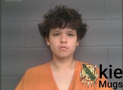 Booking photo of Michael Craig Taylor