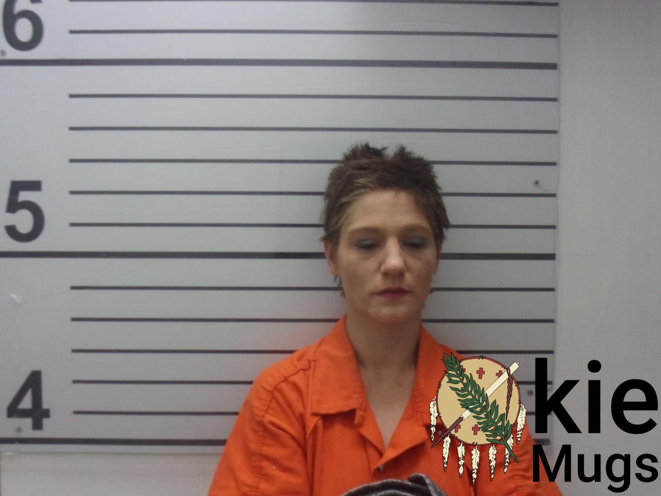 Booking photo of MECHELLE D RICHARDSON