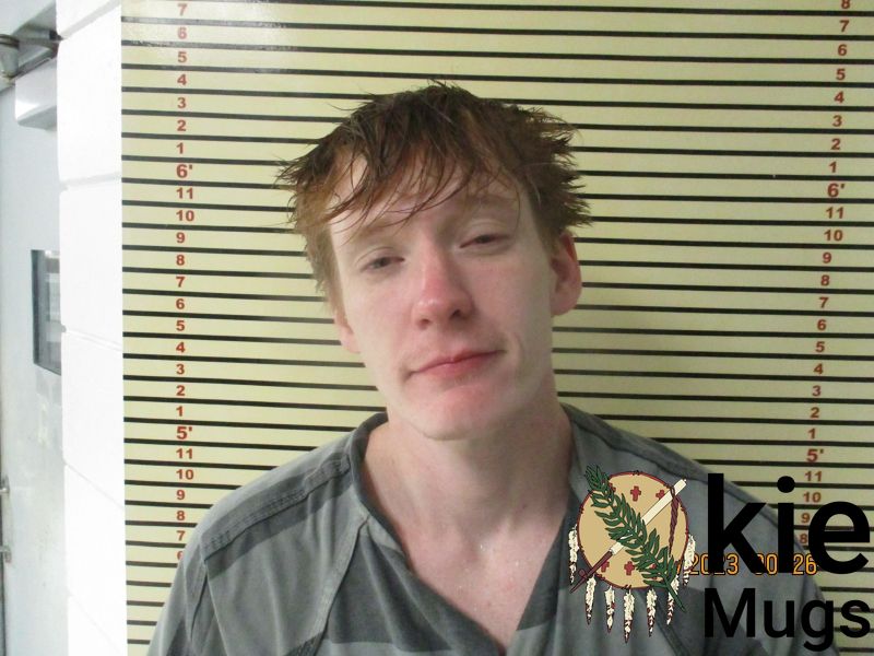 Booking photo of BRADEN HICKS
