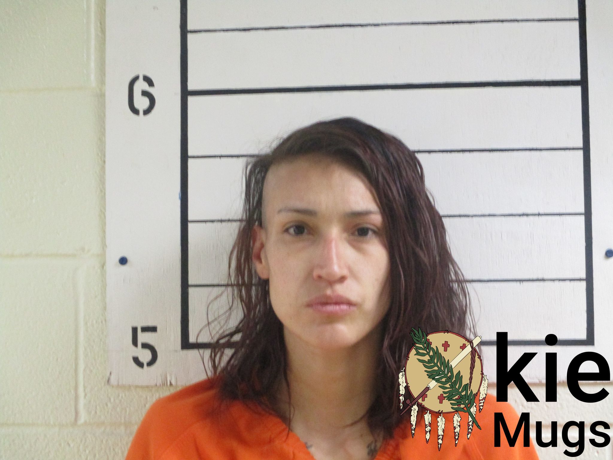 Booking photo of TIANA HENRIETTA HARVEY