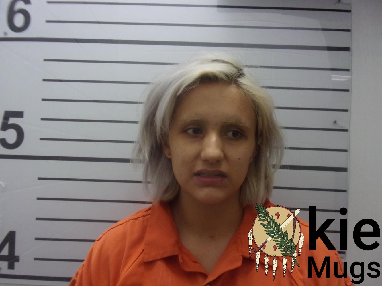 Booking photo of SARA NICOLE CRENSHAW