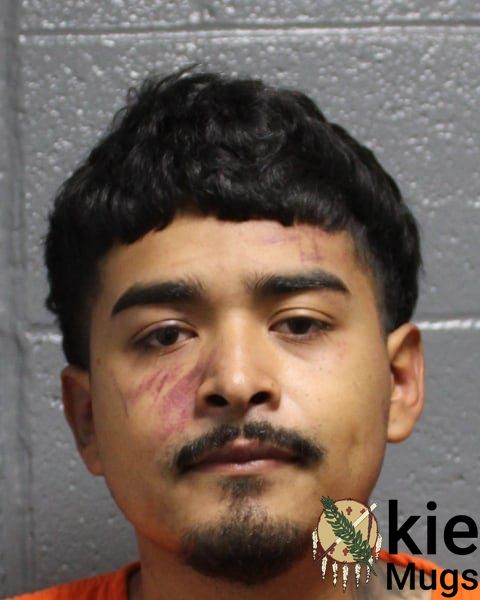 Booking photo of Alan Asael Villanueva Melendez