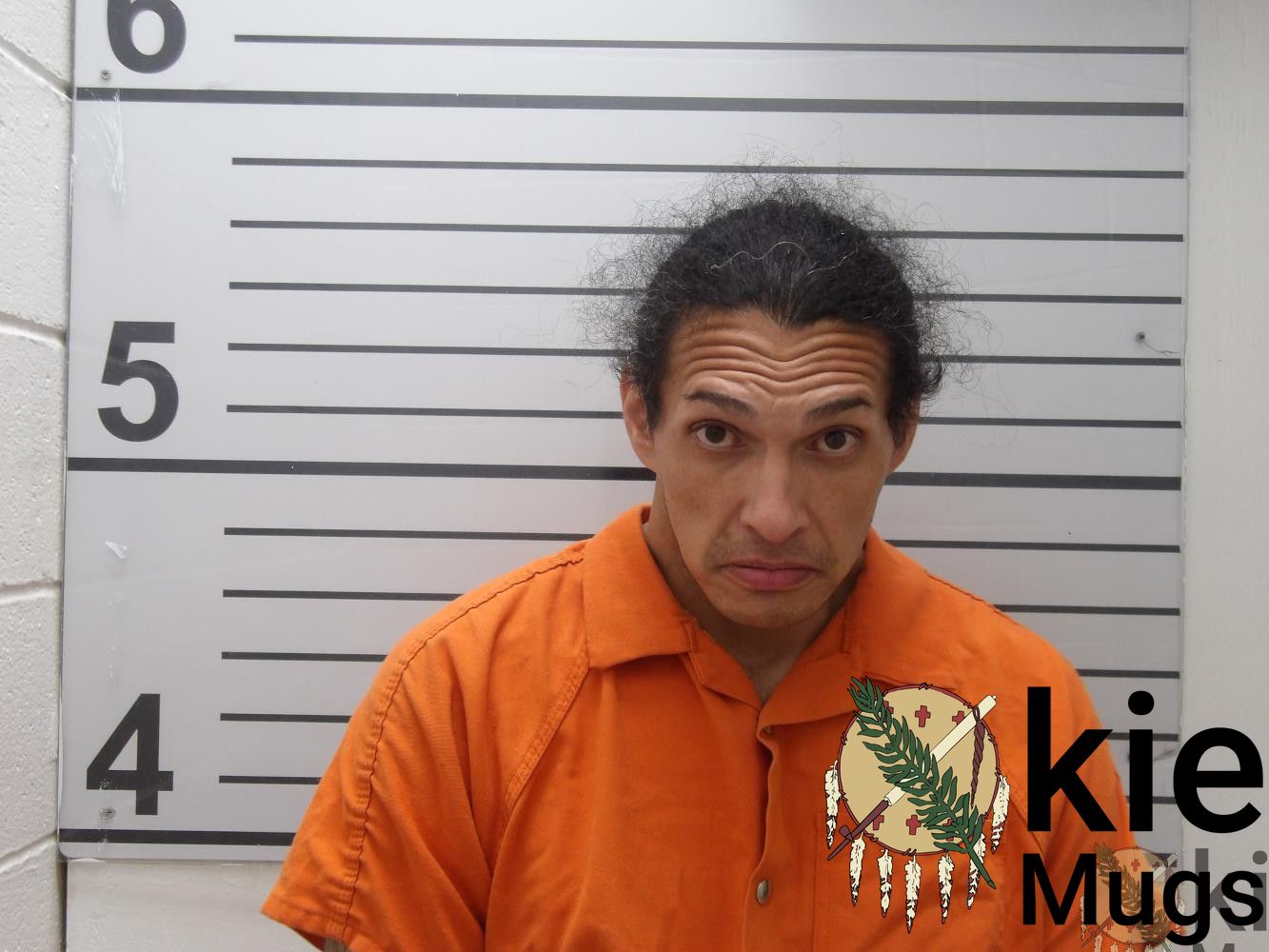 Booking photo of MICHAEL E ENDRES