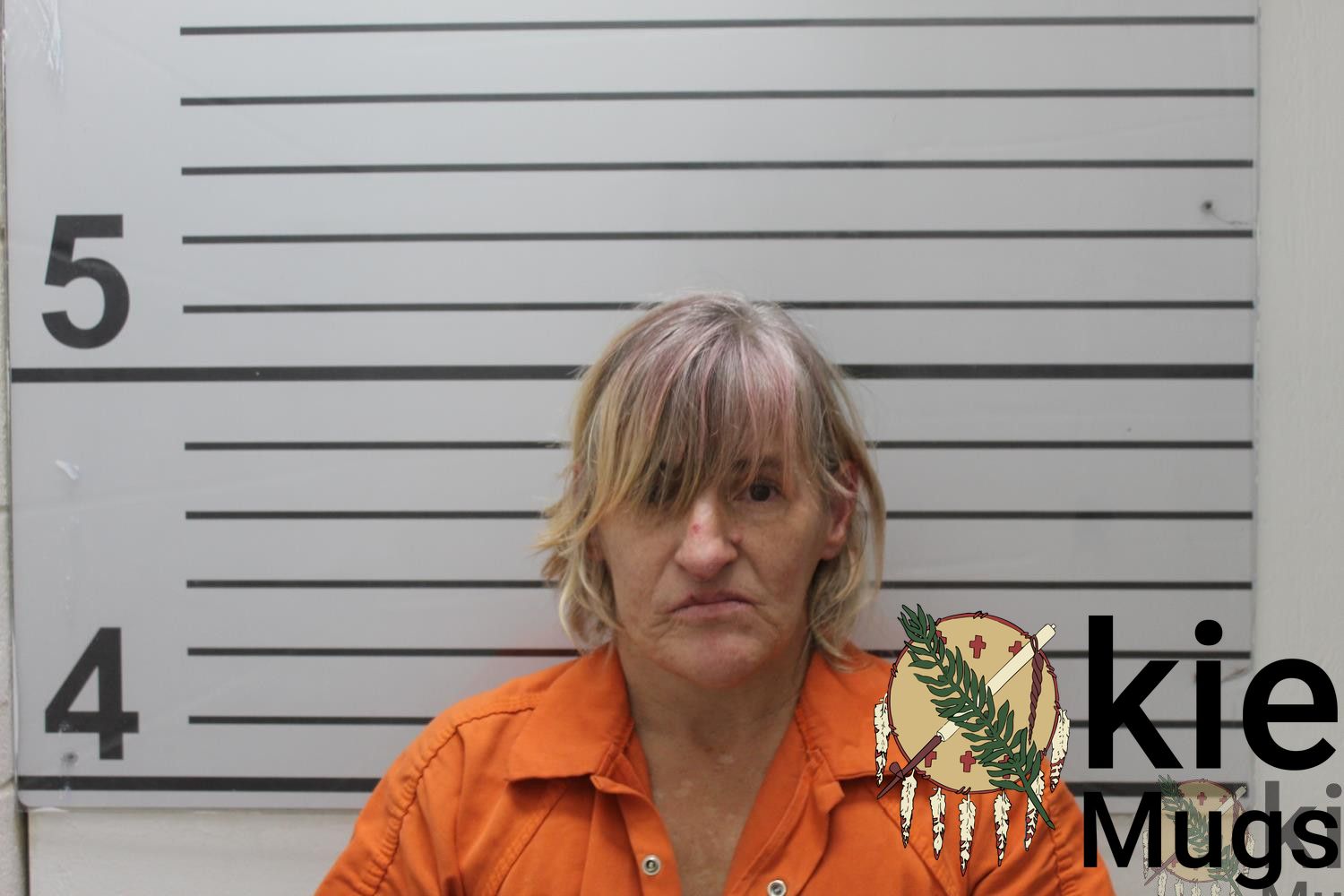 Booking photo of MARY ANN ROBERTSON
