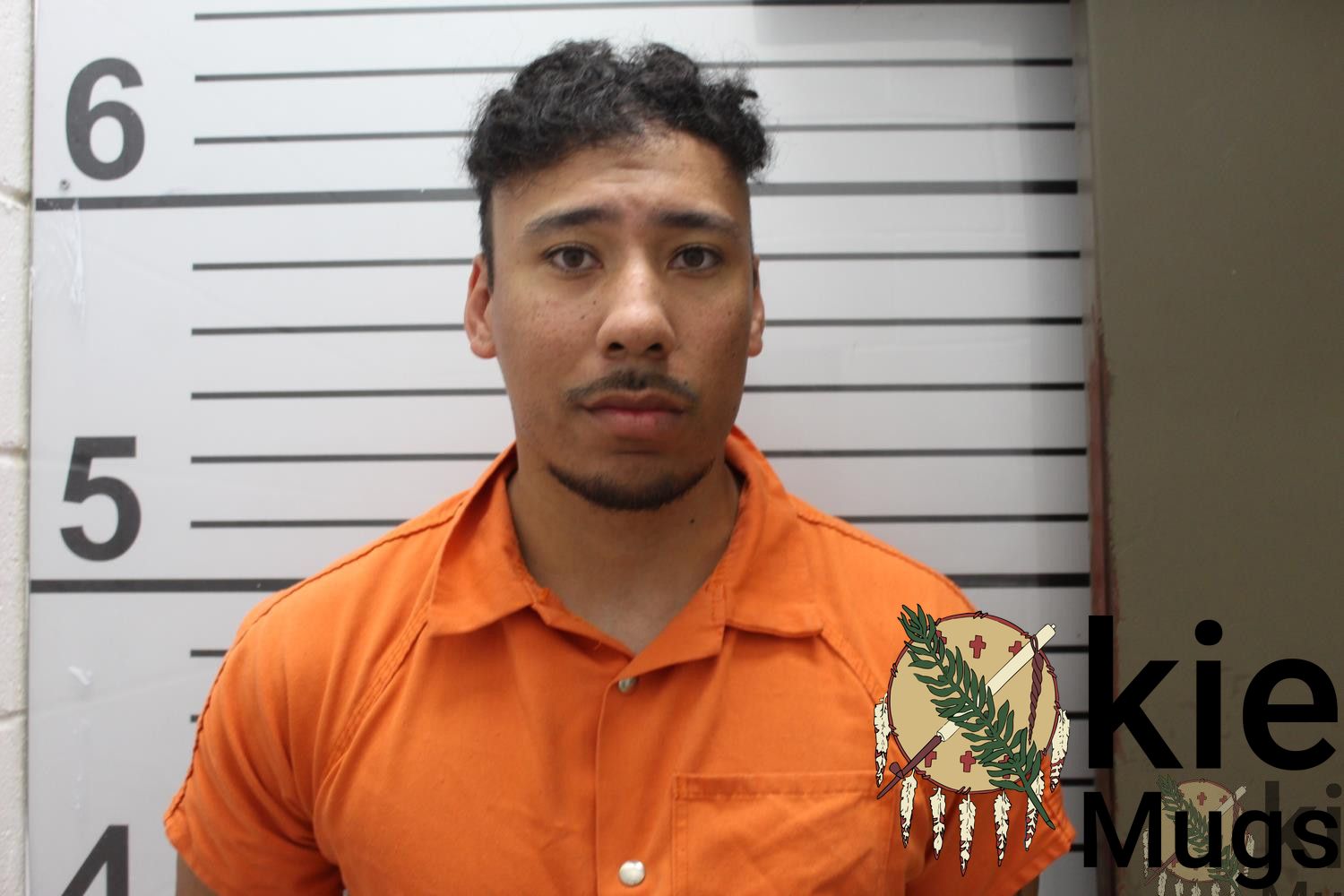 Booking photo of ANTHONY JAMES HARDY-BEAR