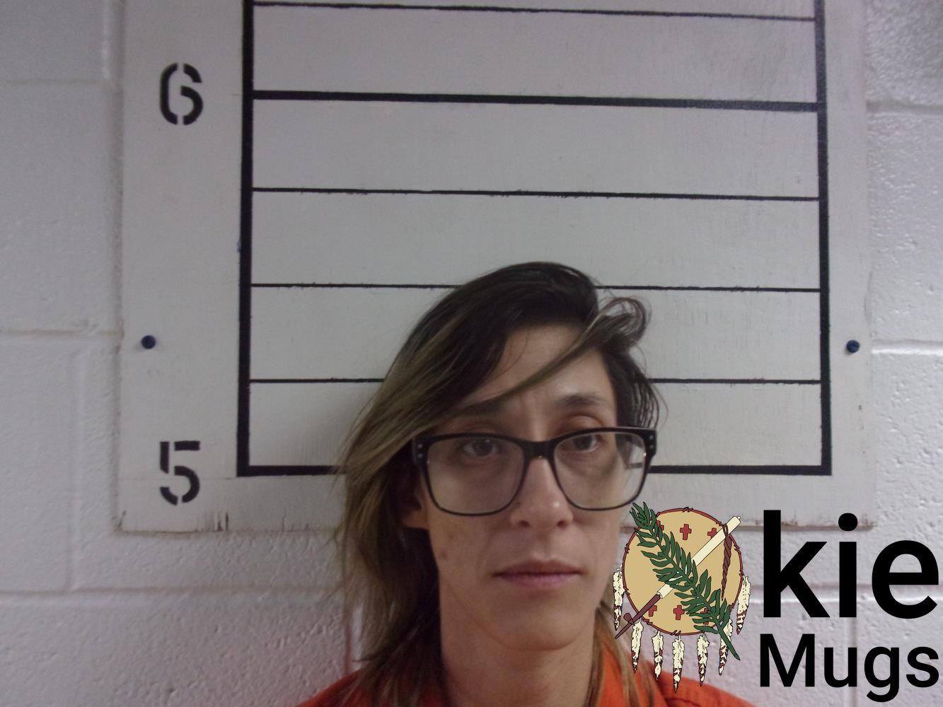 Booking photo of ROBYN SETTLES