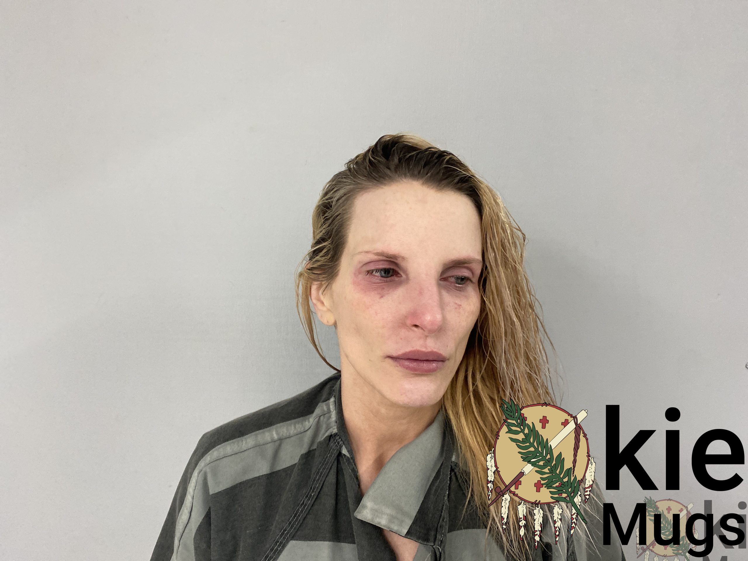 Booking photo of BRITTANY HOLDEN