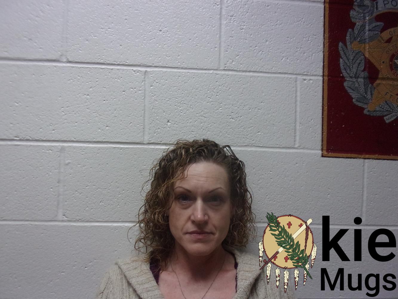 Booking photo of SUSAN LYNN HARDY