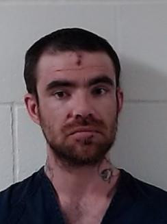 Booking photo of BRANDON JAMES PENGRA