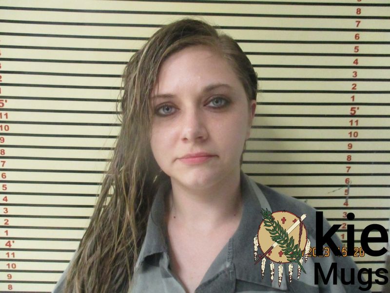 Booking photo of ASHLEY MCLANDSBOROUGH