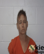Booking photo of SHANNON MORALES
