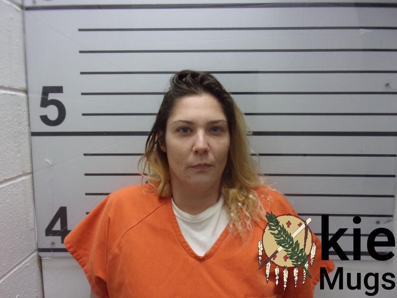 Booking photo of ASHLEY NICOLE LOWREY
