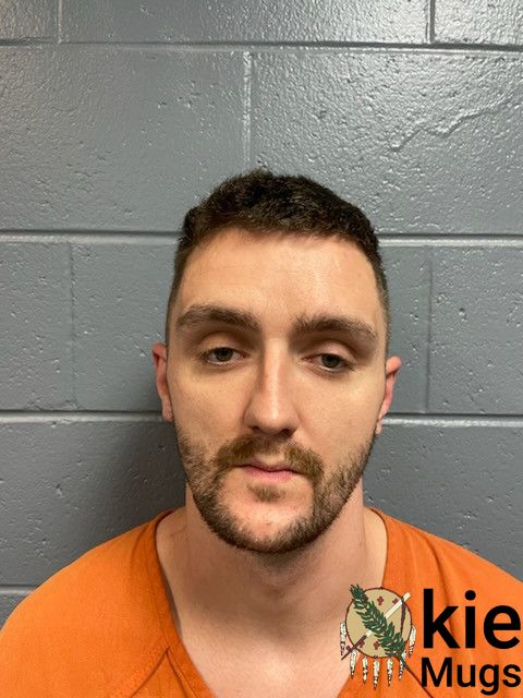 Booking photo of BRODIE, WILLIAM