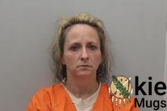 Booking photo of CHERYL LYNN BLAYLOCK
