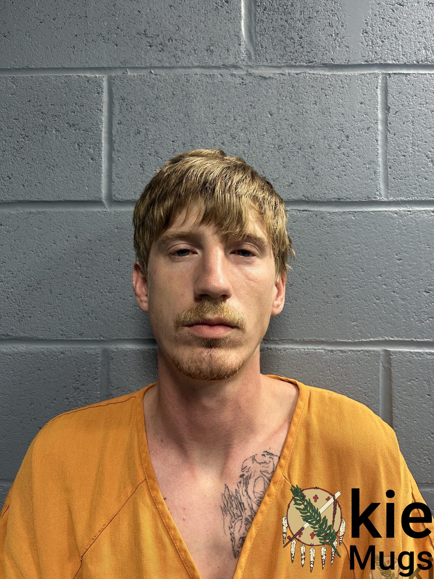 Booking photo of Logan Hubler