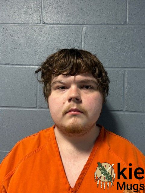 Booking photo of Luke Basler