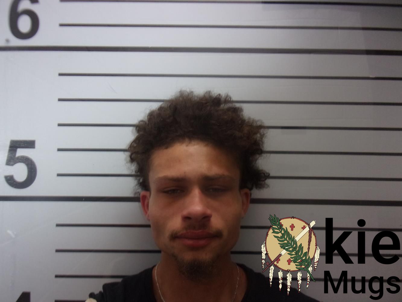 Booking photo of DONOVAN MILSAP