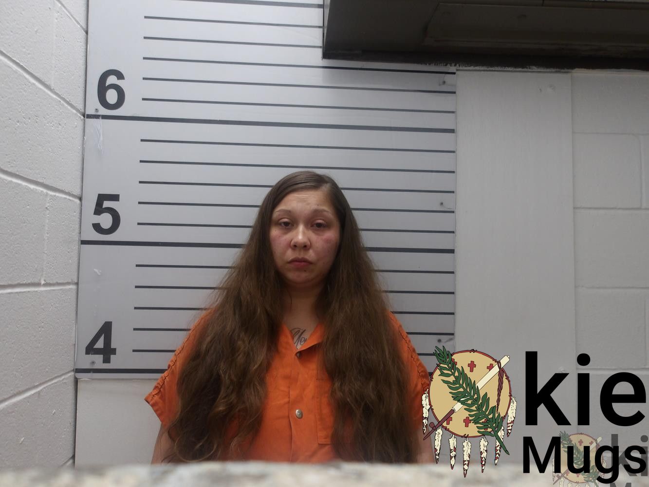 Booking photo of ALLISON P HEDDINGER