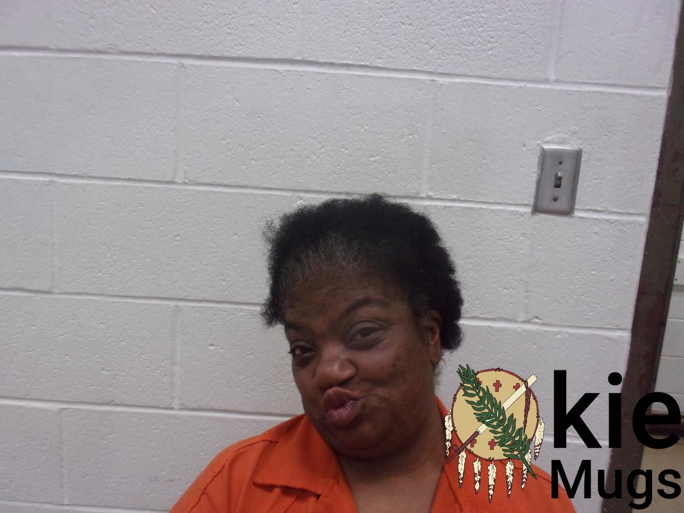 Booking photo of JOHNETTA MARIE ADAMS