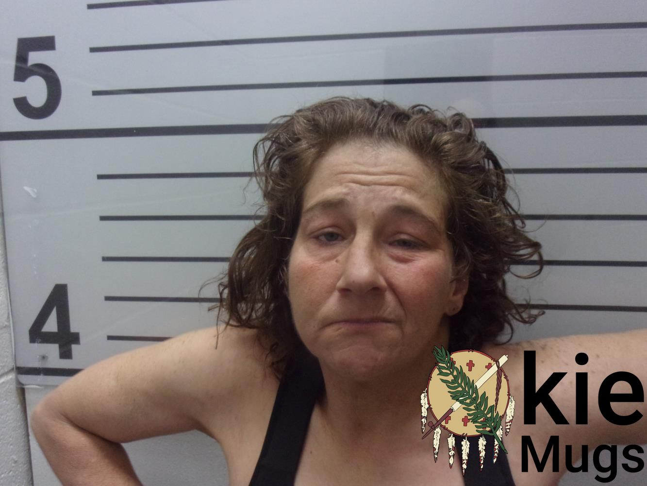 Booking photo of ERIKA DAWN HAMILTON