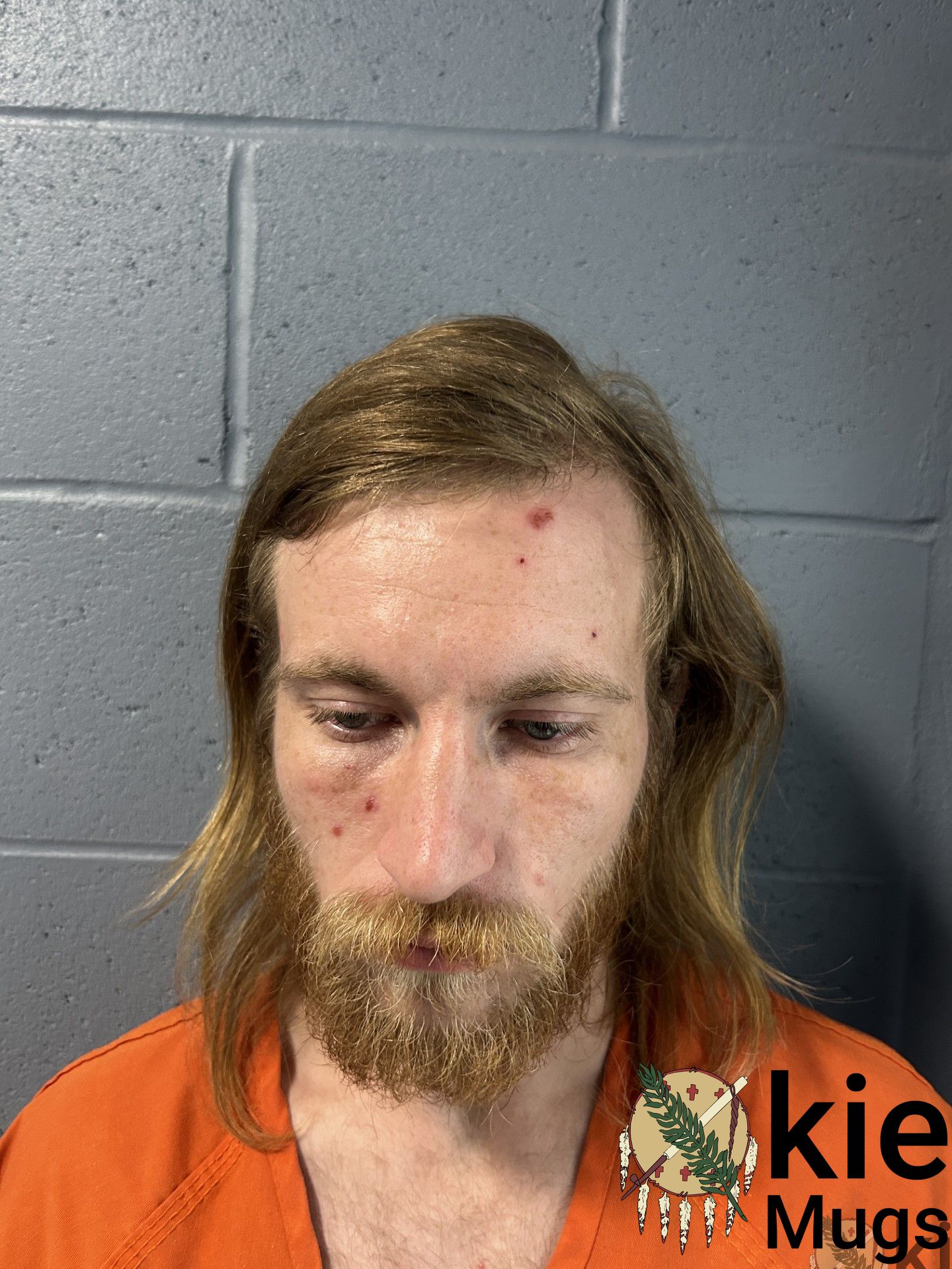 Booking photo of Mason McDole