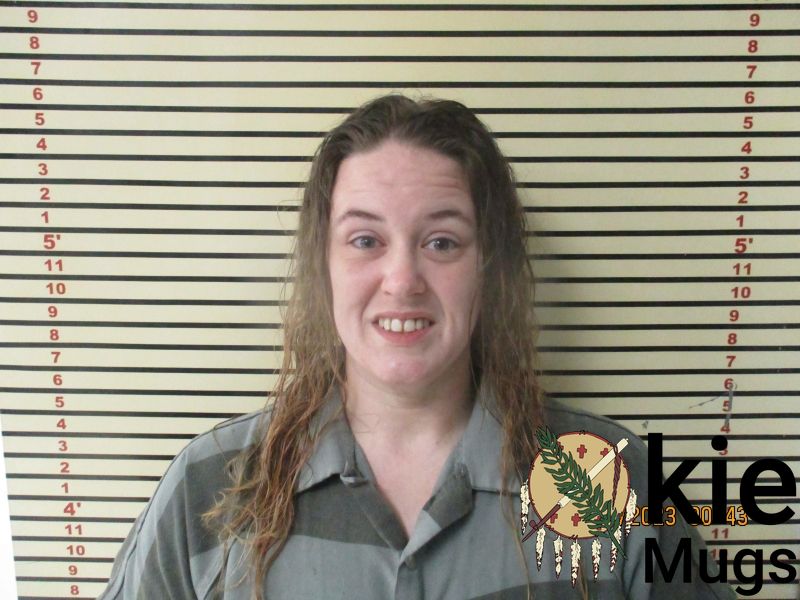 Booking photo of CHYNETHA NABORS