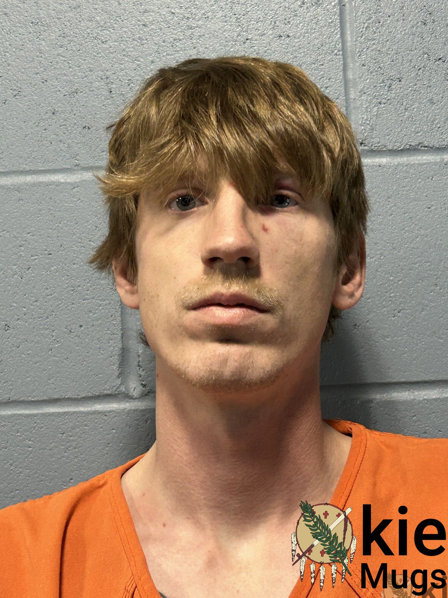 Booking photo of Logan Hubler