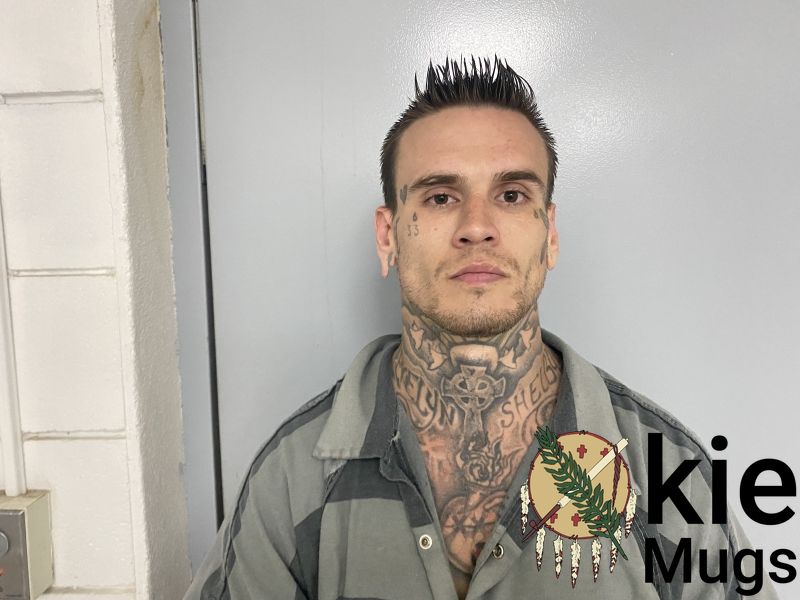 Booking photo of SHELDON WHITE