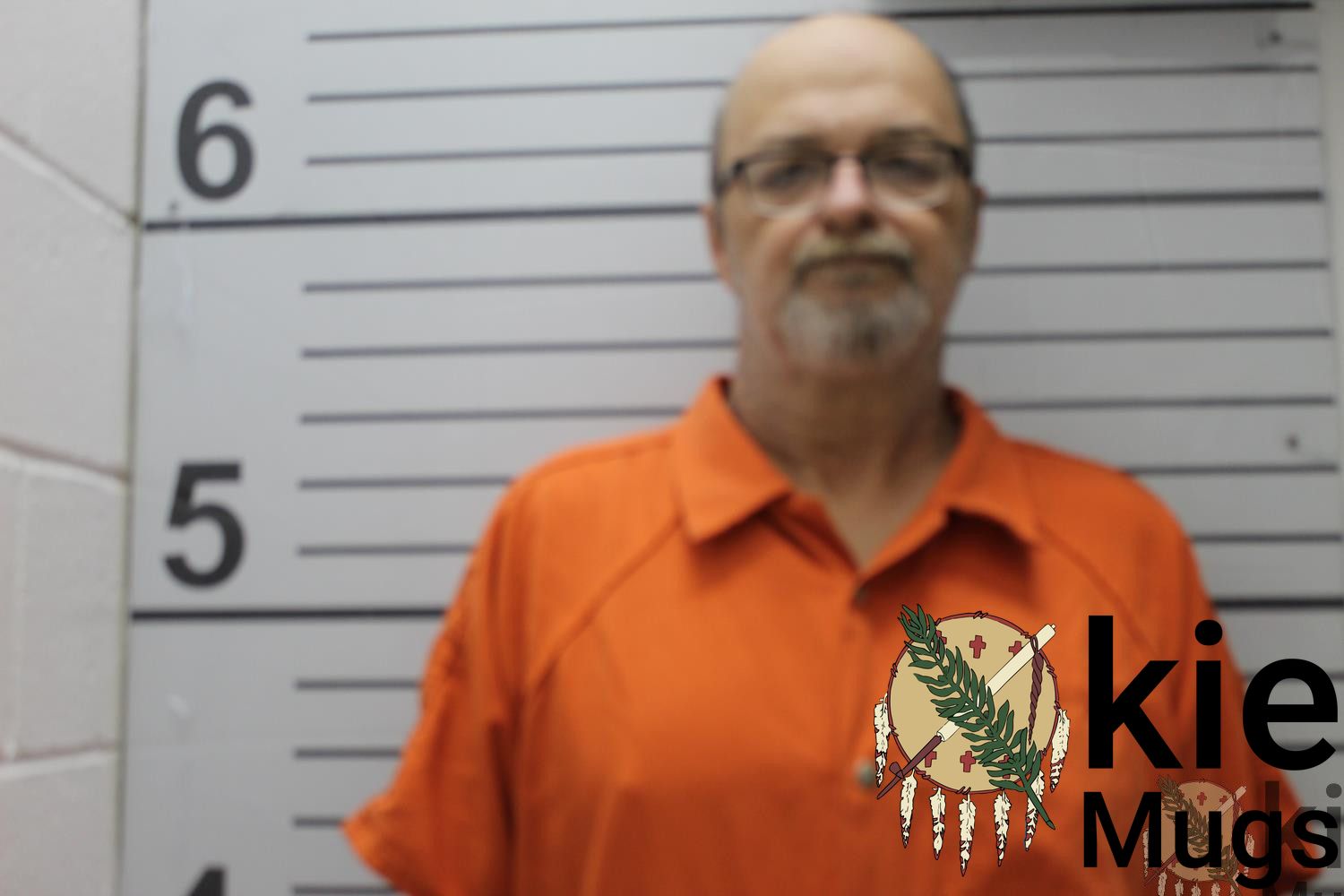 Booking photo of RONAL ALAN (CHEROKEE) HOLLAND