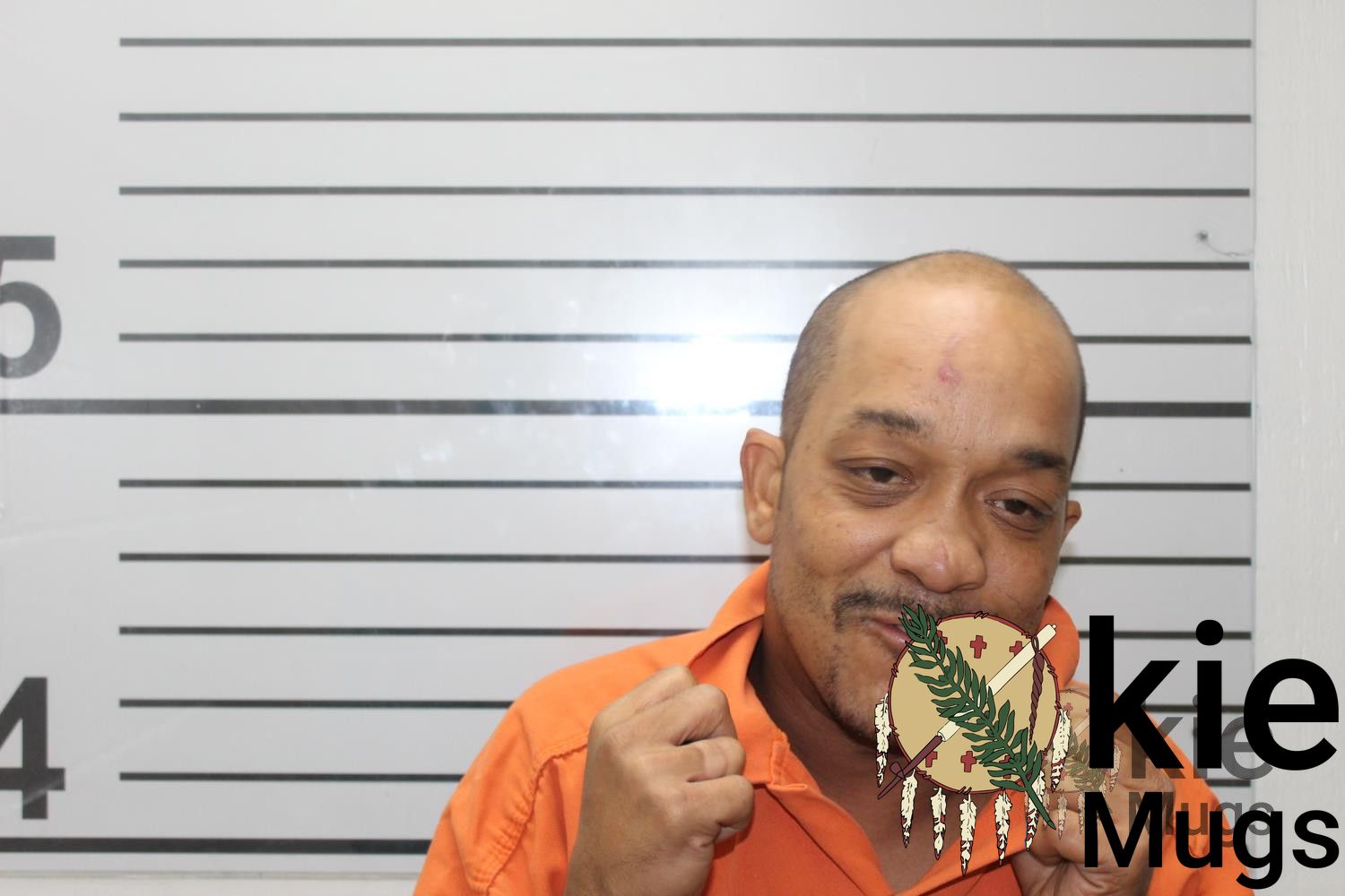 Booking photo of Shannon Kelly