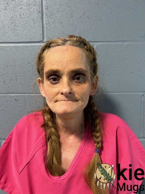 Booking photo of PALMER, ANGELA