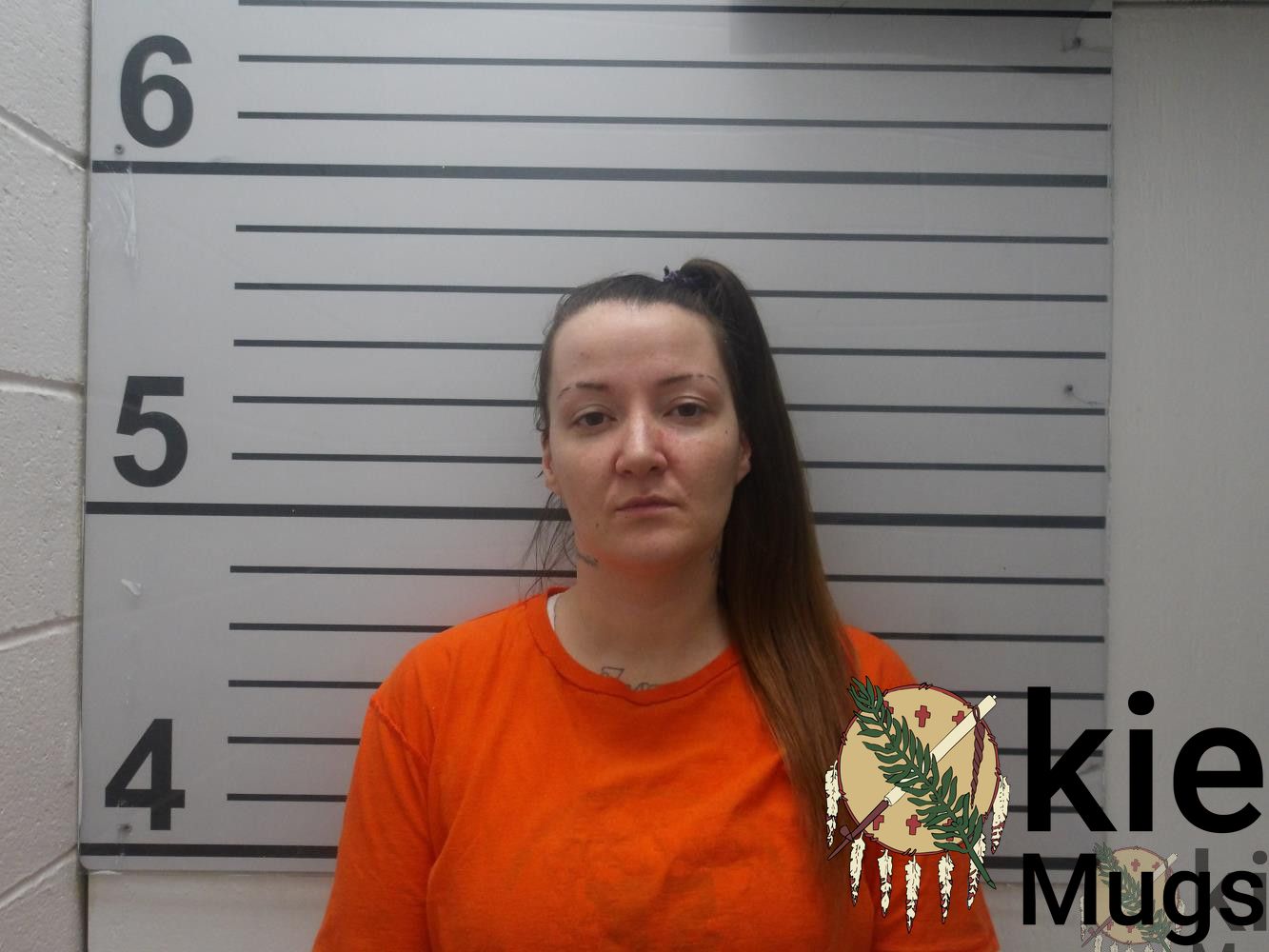 Booking photo of AMANDA DAWN RICHARDS