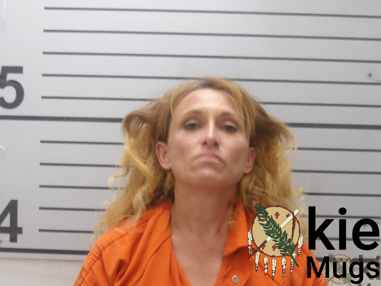 Booking photo of Dana Marie Stoneburner
