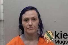 Booking photo of BRIANA NICOLE DENIS