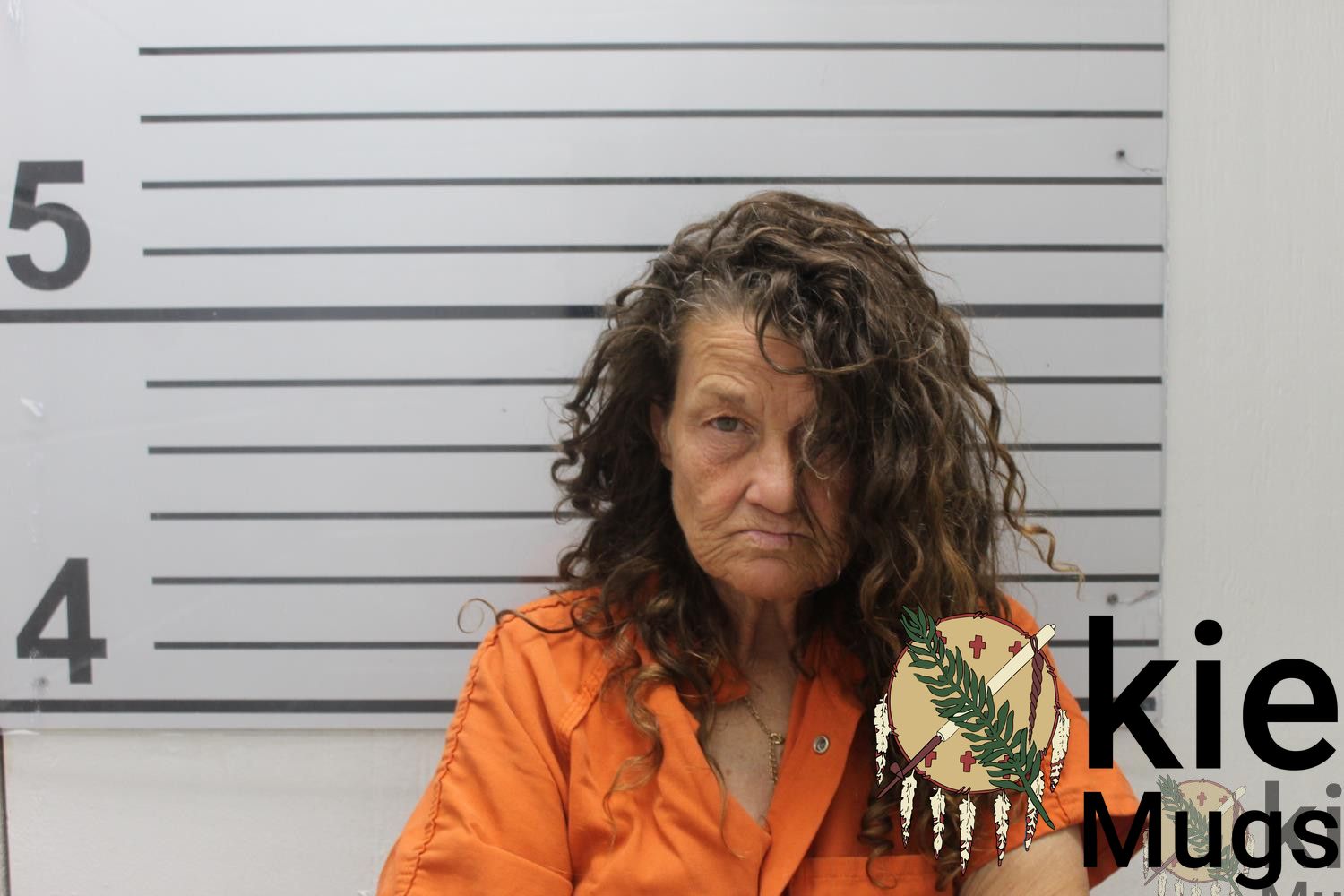 Booking photo of Lou Ann Adair