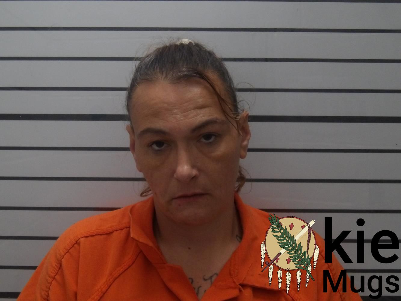 Booking photo of Heather Dawn Littlebear