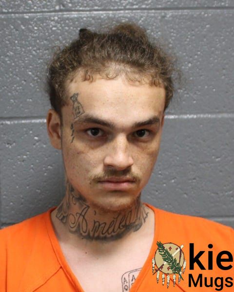 Booking photo of Gibson Reef - Bray