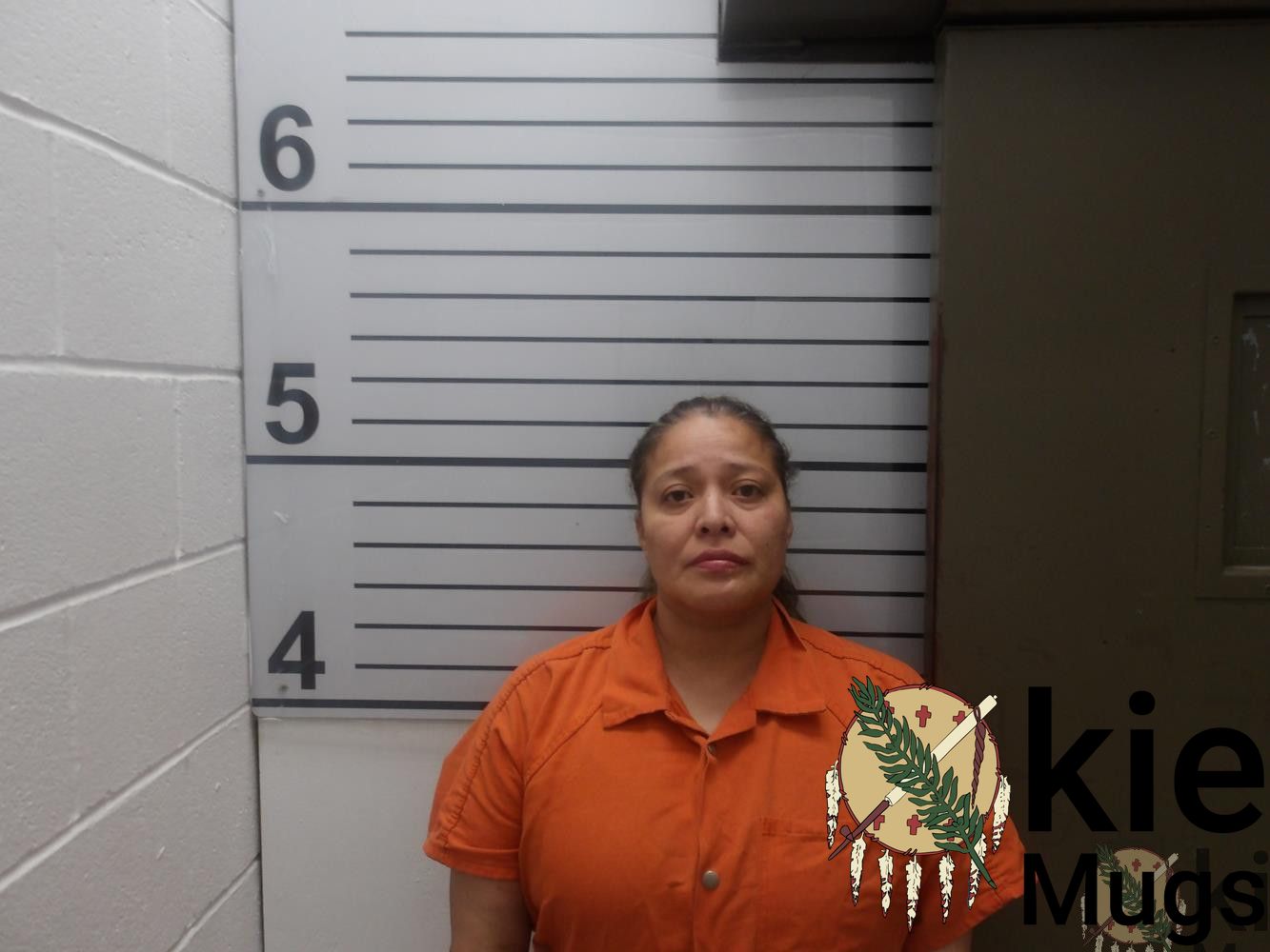 Booking photo of VIRGINIA SLOAN