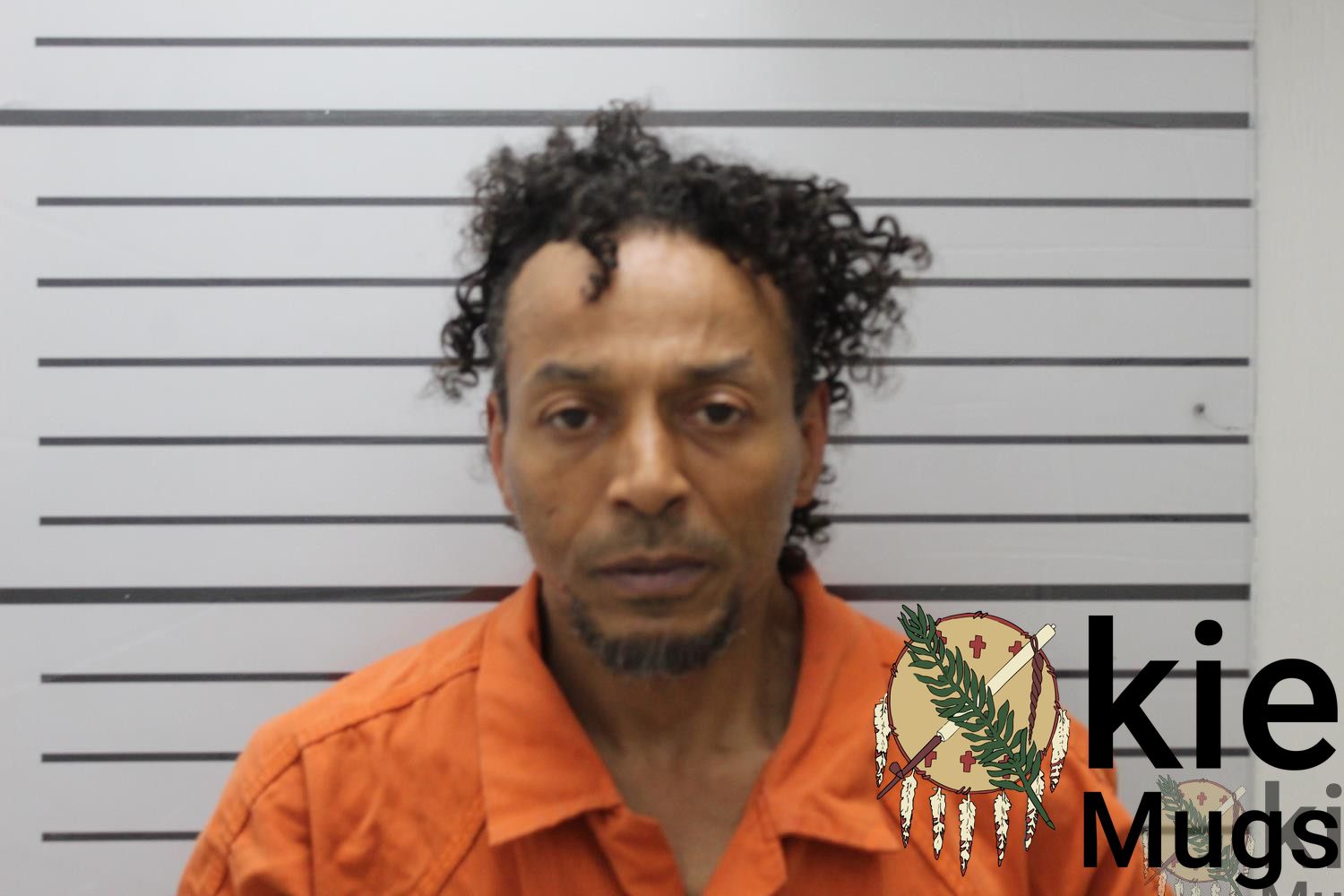 Booking photo of WILLIE JAMES STOUT