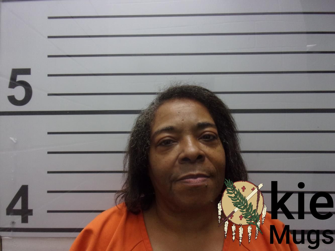 Booking photo of STEPHANIE LYNN COOK