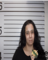 Booking photo of ELIZABETH A HOLLAND