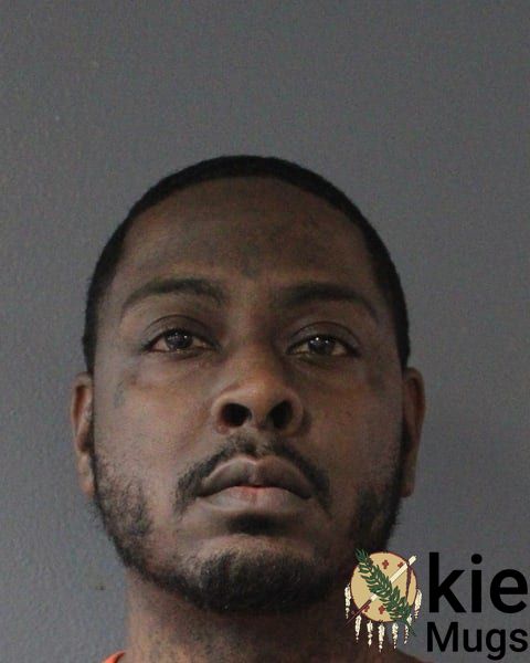 Booking photo of Lundon Deion Mitchell