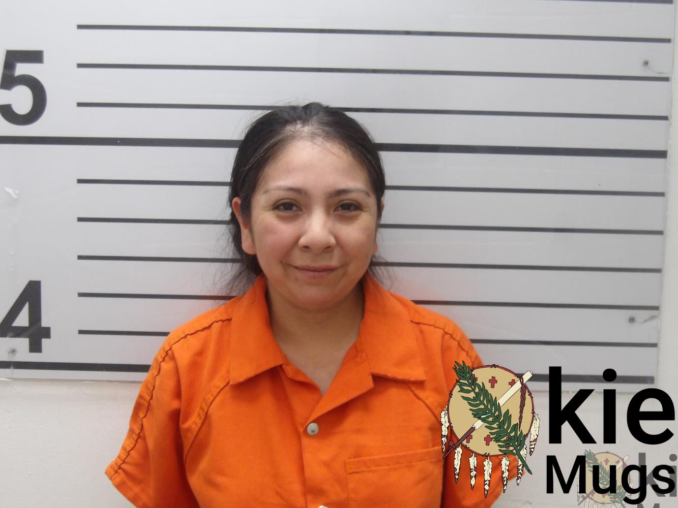Booking photo of GILLIAN NICOLE LOWE